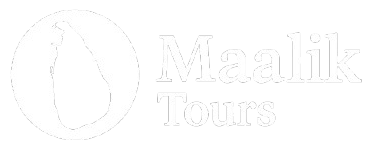 chatgpt image sep 12 2025 06 01 27 pm removebg preview